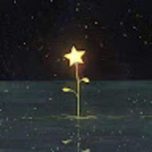 Meet your Posher, Jen